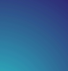 IDM